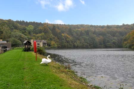 Gatcombe Lake Gatcombe Lake